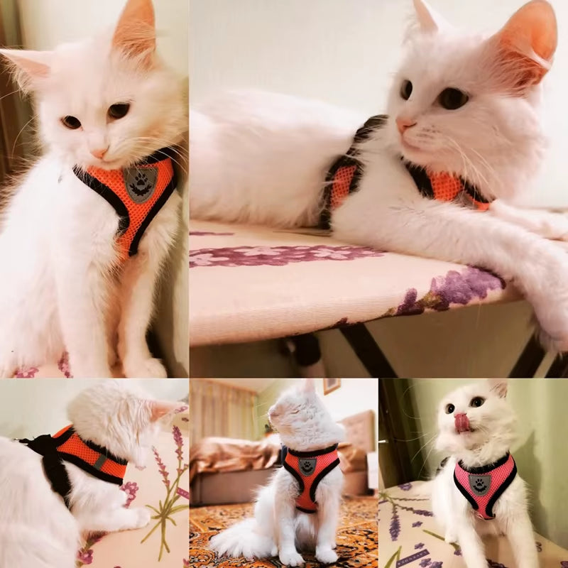 Cat Dog Harness Adjustable Vest Walking Lead Leash for Puppy Dogs Collar Polyester Mesh Harness for Small Medium Dog Cat Pet